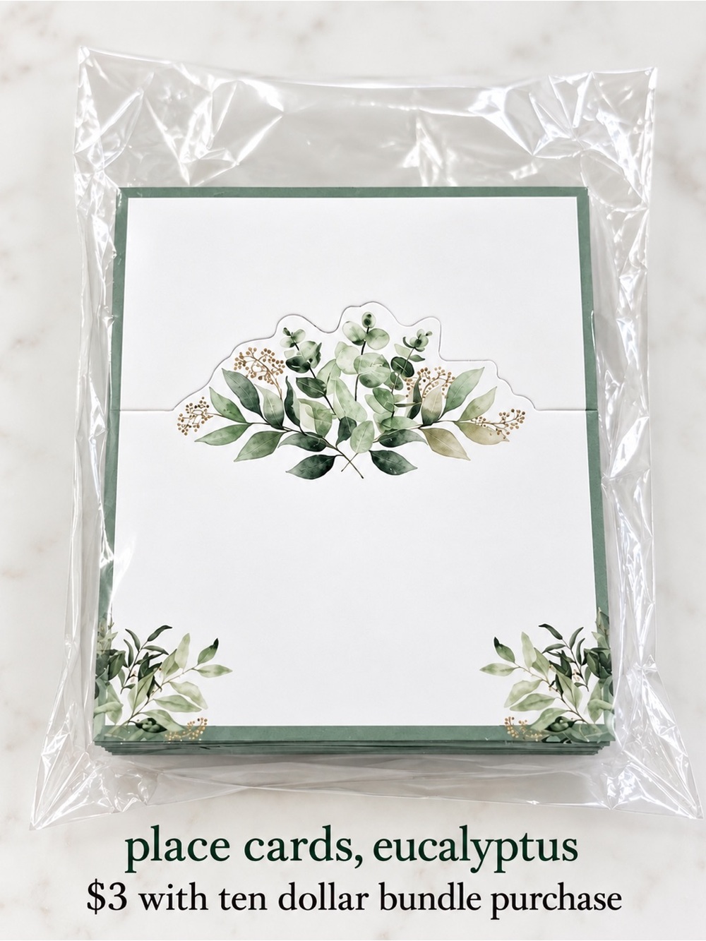 Gift Boutique Eucalyptus Placecards - NWT